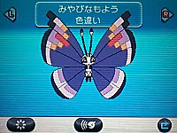 Y色違いビビヨン みやび お馬さんの足音