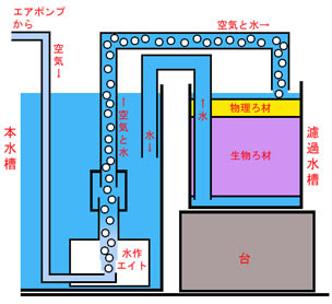 プチ外部濾過器を作ろう