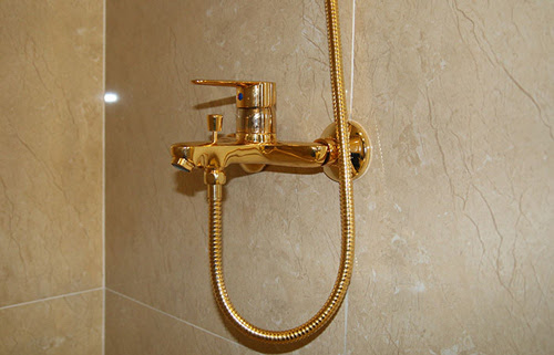 Ông chủ Kỷ Mùi dát vàng cả nhà tặng vợ con - 9