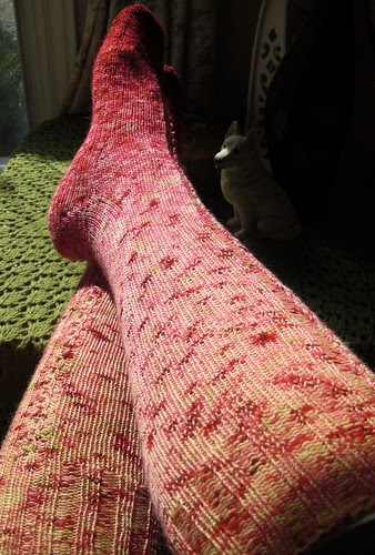 bloody toes knee highs-6