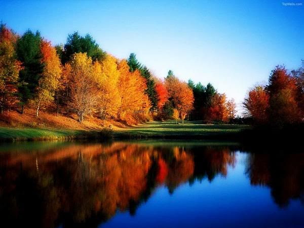 fall Pictures, Images and Photos