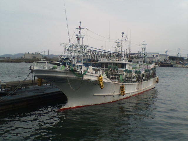 釣ヤリイカ 剣先イカ 白イカ 西日本魚市株式会社