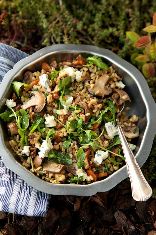 mushroom ebly blue cheese