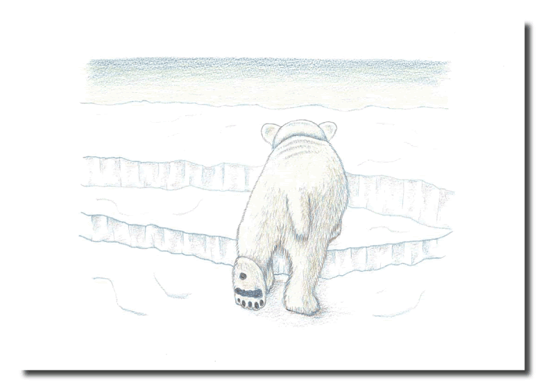 オリジナルイラスト1 1 ホッキョクグマと三角コーン