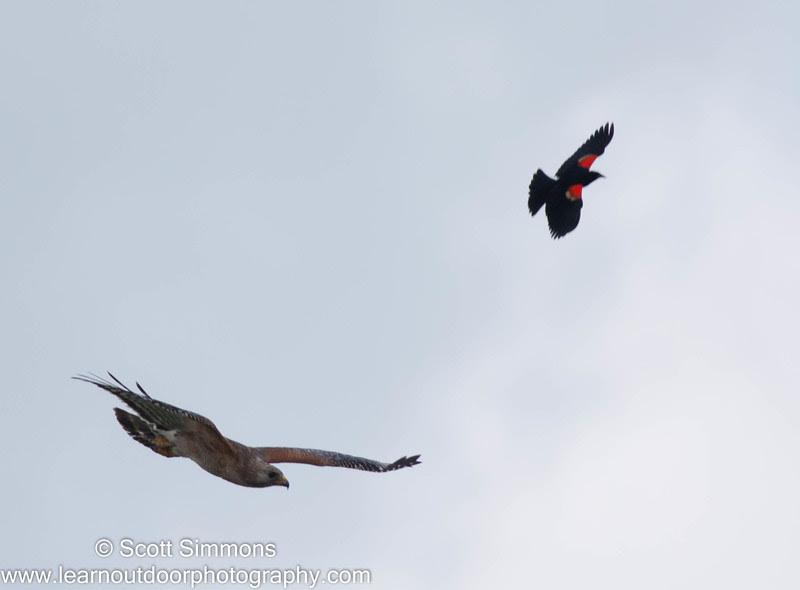 Photo & Video Sharing by SmugMug Photo & Video Sharing by SmugMug