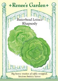 Butterhead Lettuce Seeds - Rhapsody On Sale