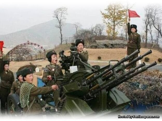 Meriam anti-pesawat Korea Utara