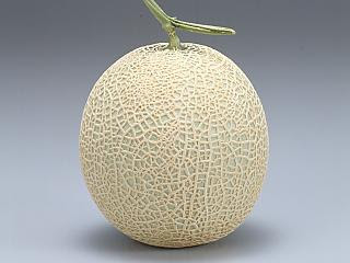 メロン ようこそ吉田町へ