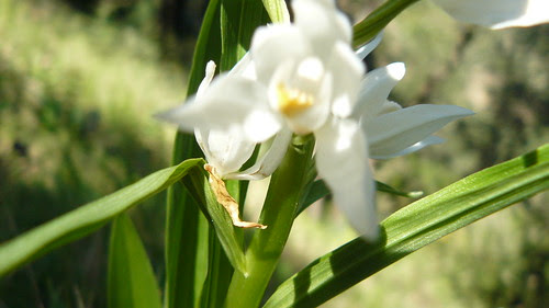 P1240235