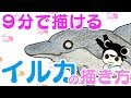 √70以上 無料 イルカ イラスト 簡単 406035