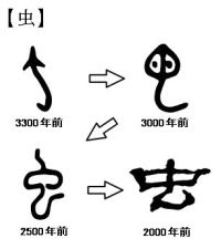 ﾊﾞｯｸﾅﾝﾊﾞｰ 立命館club 立命館大学