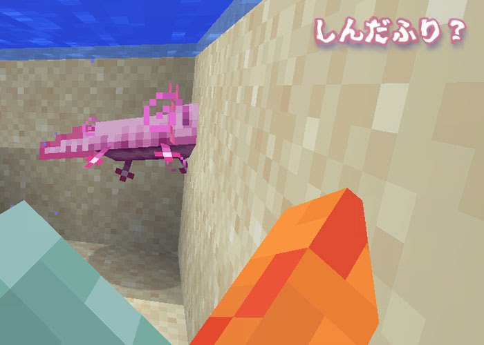 マイクラ ウーパールーパーの生態調査 洞窟アプデで実装されたmob マイクラモール