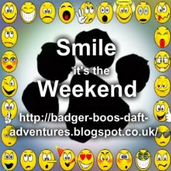 Badger Boo's Daft Adventures