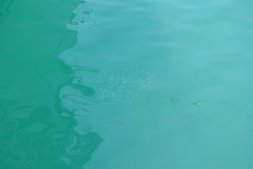 Mediterranean blue
