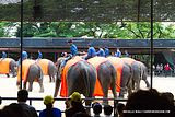 Bangkok - Pattaya - Chonburi - Laos Thailand