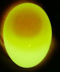 egg3