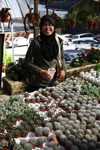 Honeymoon - Agrofarm, Cameron Highlands