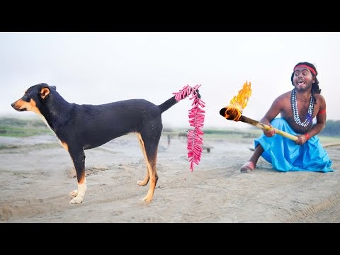 Found on YouTube: Must Watch New Very Special Funny Video 2023😂Totally Amazing Ep 199 Fun By Haha Idea