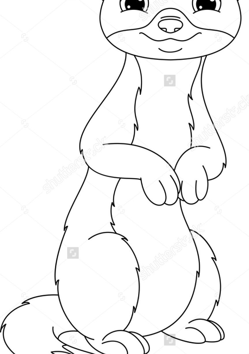Download Weasel Coloring Page at GetColorings.com | Free printable colorings pages to print and color