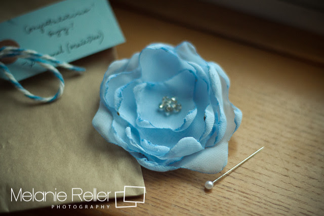 gardenia-3
