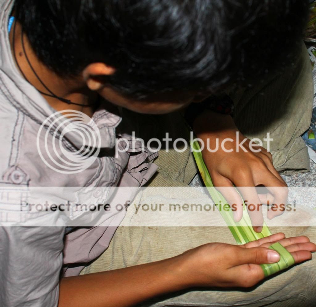  photo 1c20f8e3-c96c-4c54-bc42-b08bd63b2f84_zpsa8e9536f.jpg