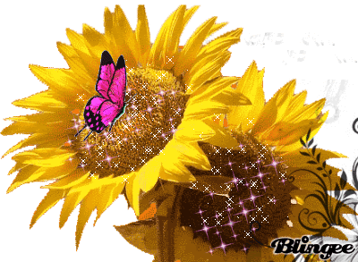Premio Girasoli