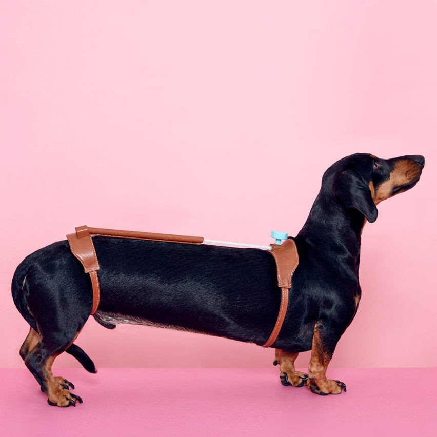 Hyerim Shin's Cuteness Tool for Dachshunds