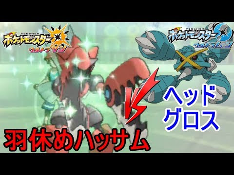 サンムーン 育成 準備