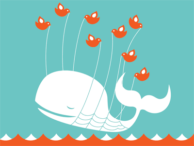 Social media distribution