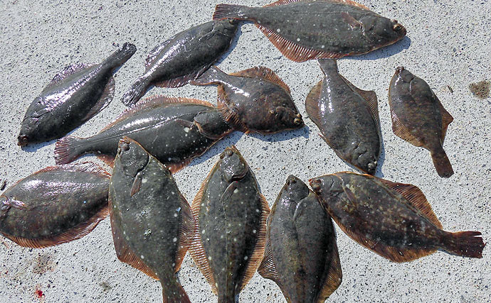 浅場に接近開始 陸っぱり冬カレイの投げ釣りで必要な道具と釣り方 Tsurinews