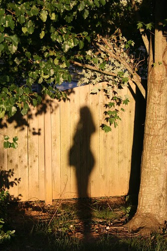 shadow