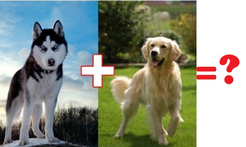 à¸¥à¸­à¸à¸à¸²à¸¢ à¹à¸¡ à¸­à¸ à¸­à¸à¸«à¸¡à¸²à¸ à¸²à¸à¸ à¸à¸ à¸à¸ªà¸¡à¸ à¸à¸à¸°à¸¡ à¸¥ à¸à¸­à¸­à¸à¸¡à¸²à¸«à¸ à¸²à¸à¸²à¸­à¸¢ à¸²à¸à¹à¸£ Meepanda