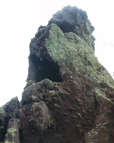 200605027-vs-0482
