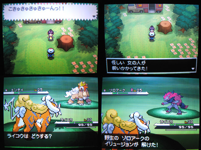 Bwゾロアークイベント 色三犬の変化など ワタシのポケモン戦記