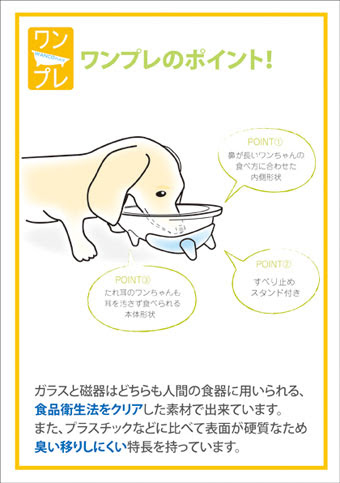 犬用食器 ワンプレ ワンコプレート ガラス ピスタチオグリーン ハリオ