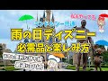 [最も人気のある！] ディズニー 持ち物 夏 雨 356413-デ���ズニー 持ち物 夏 雨
