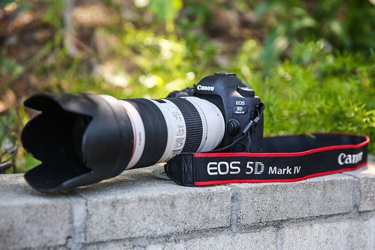 Review of the Canon 5D Mark IV