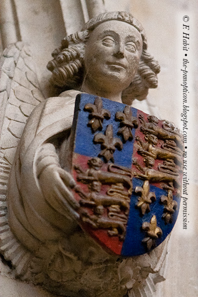 Kings, Angel
