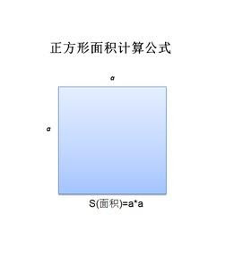 正方形怎么算平方面积长方形 三角形 正方形面积公式怎么算