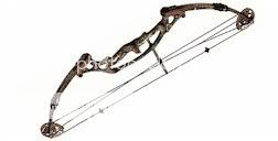 hoyt_compound_bow