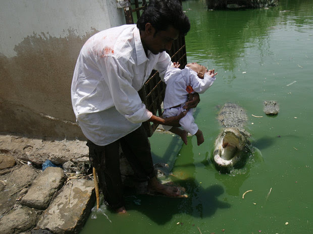 crocodilo cerimônia paquistão