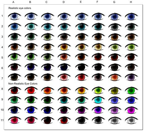 Phenotype shown as brown or blue while dominant brown gene = b and recessive blue gene = b individuals with bb have blue eyes, while individuals . real eye color chart images pictures becuo