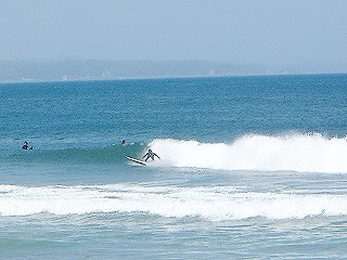 千葉県千倉海岸 南房総の千倉はサーフィンと海水浴と釣りと花