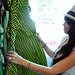 compras IT
