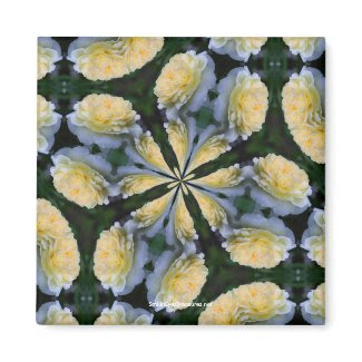 Yellow Rose Kaleidoscope Flower Photo Magnet magnet