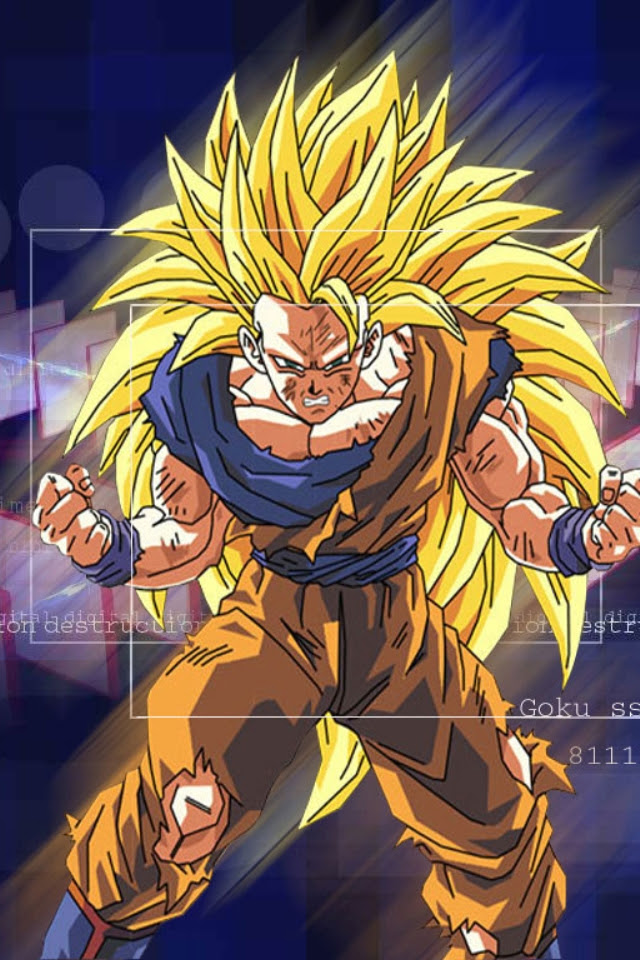 壁紙 ドラゴンボールのスマホ壁紙640x960 Dragonball I18 Jpg 壁紙box