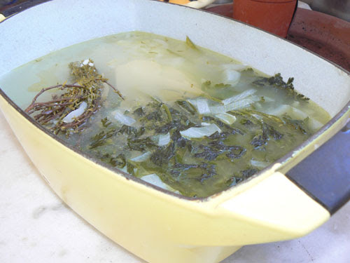 soupe 1.jpg