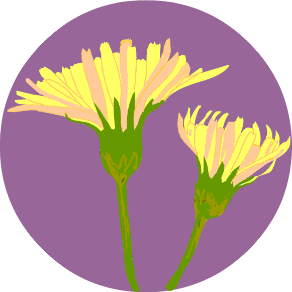 花 イラスト 無料 Gif画像