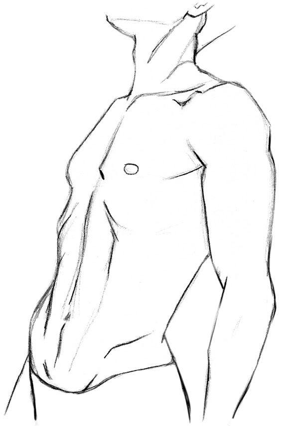 Dessiner le torse humain - Aux couleurs d'Alix