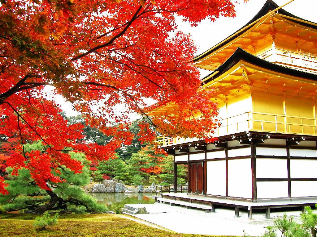 死ぬまでに見たい 美しい紅葉の高画質な画像 壁紙 写真まとめサイト Pictas